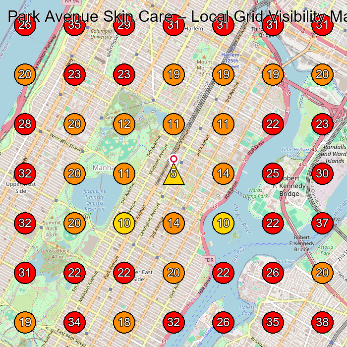 Park Avenue Skin Care GeoGrid visibility map for Dermatologist in New York